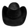 Cowboyhatt, Wyoming black