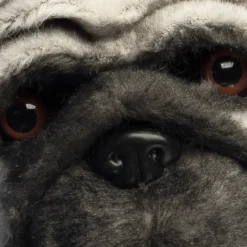 Djurmask, mops