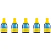 Girlang, student champagne 6 m