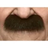 Mustasch, professor brun