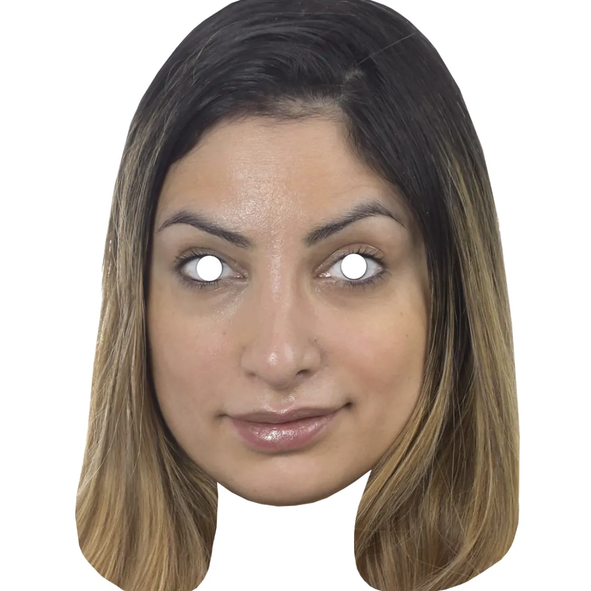 Pappmasker, partiledarkit