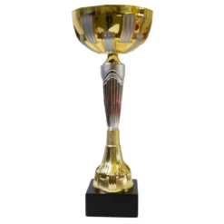 Pokal