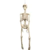 Prop, hängande skelett 92 cm
