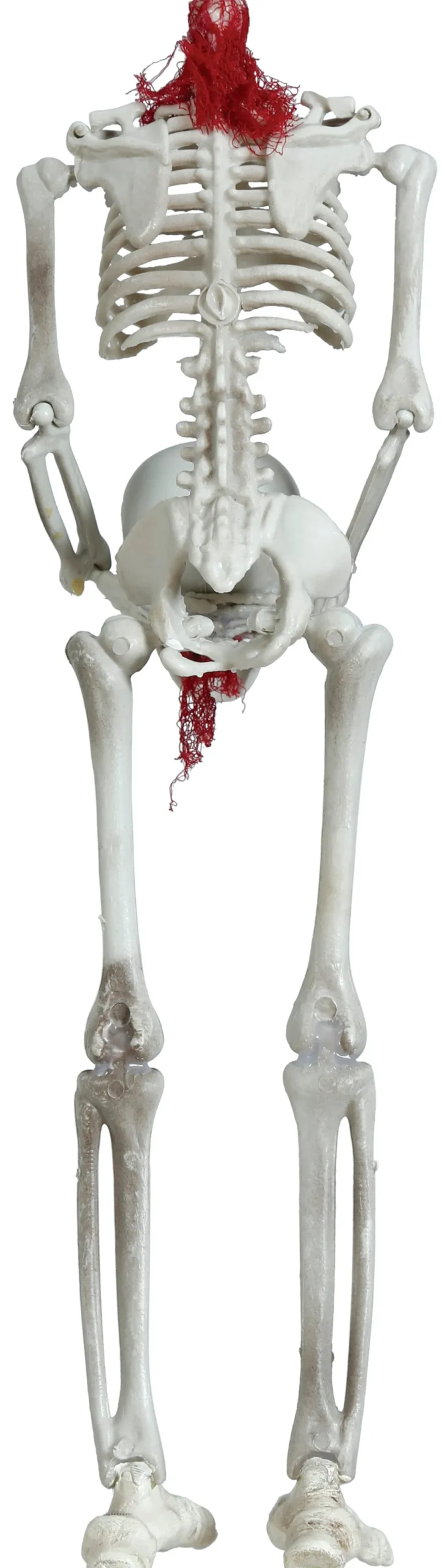 Prop, hängande skelett 37 cm