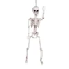 Prop, hängande skelett 60 cm