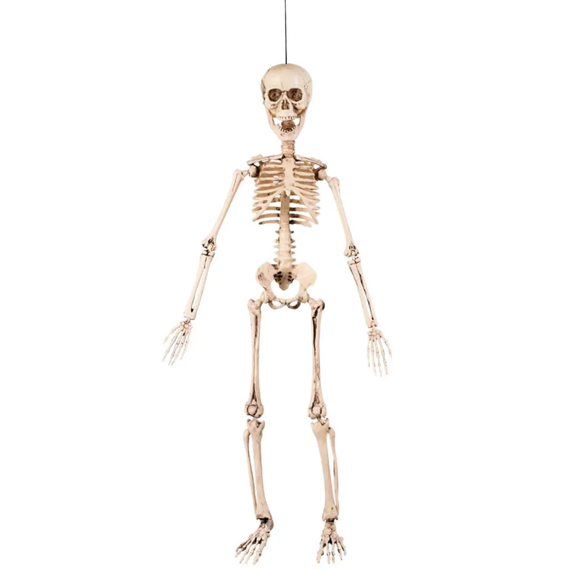 Prop, hängande skelett 50 cm